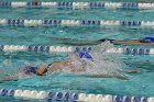 Swimming vs CGA  Wheaton College Swimming & Diving vs Coast Guard Academy. - Photo By: KEITH NORDSTROM : Wheaton, Swimming, diving